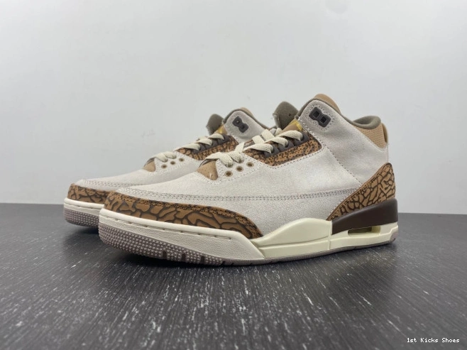 Palomino Jordan 3 CT8532-102 Air 0723